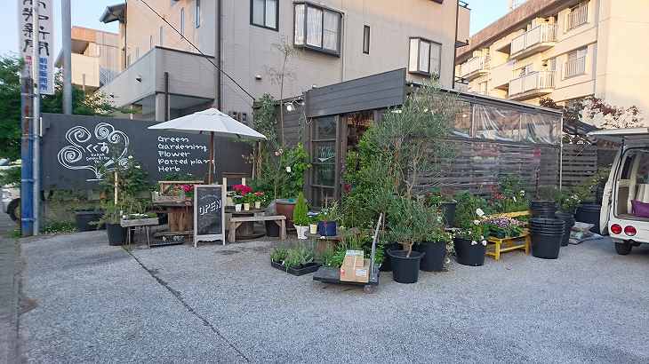 高知市一宮南町 またまた くくあ 植物店へ行く いろいろ日記